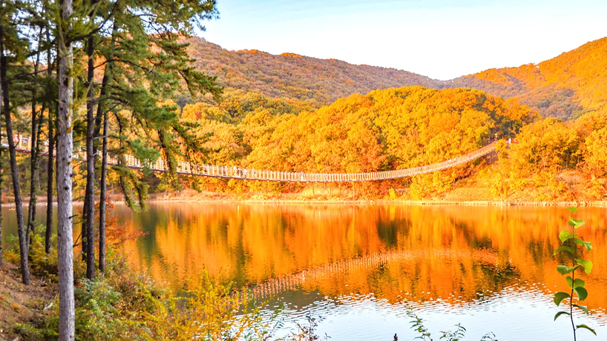 마장호수 출렁다리 가을 풍경 마장호수 출렁다리 가을 풍경