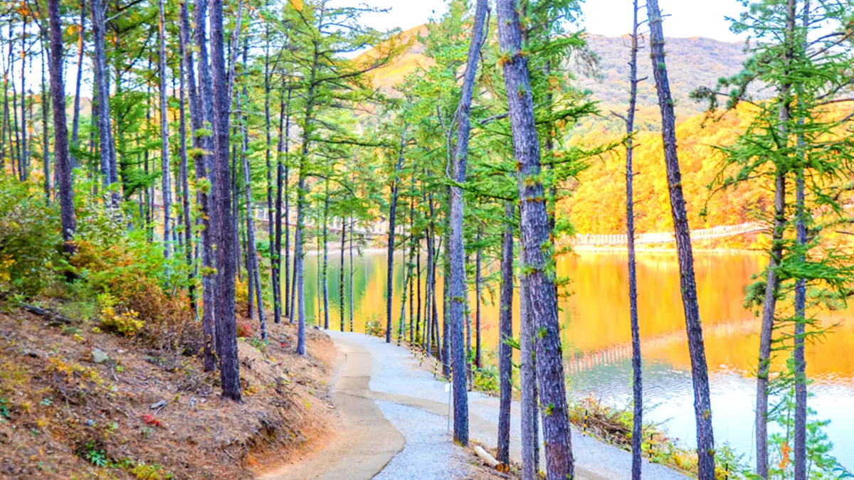 마장호수 둘레길 마장호수 둘레길