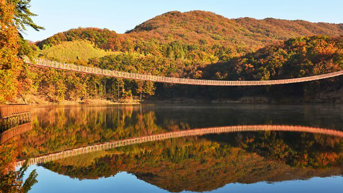 마장호수 출렁다리 가을 마장호수 출렁다리 가을