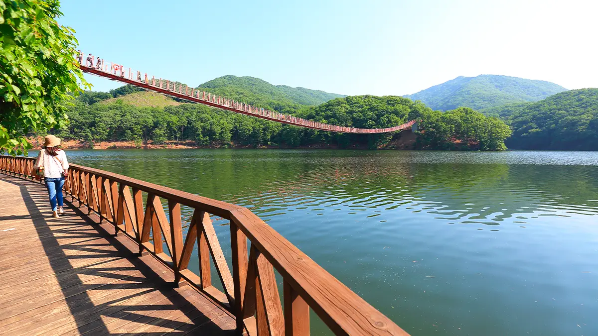 마장호수 출렁다리와 산책길 마장호수 출렁다리와 산책길