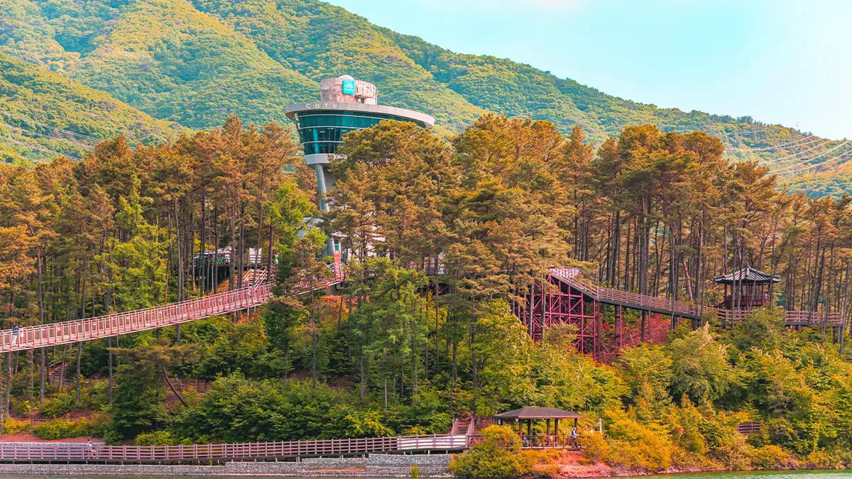 마장호수 출렁다리와 전망대 마장호수 출렁다리와 전망대