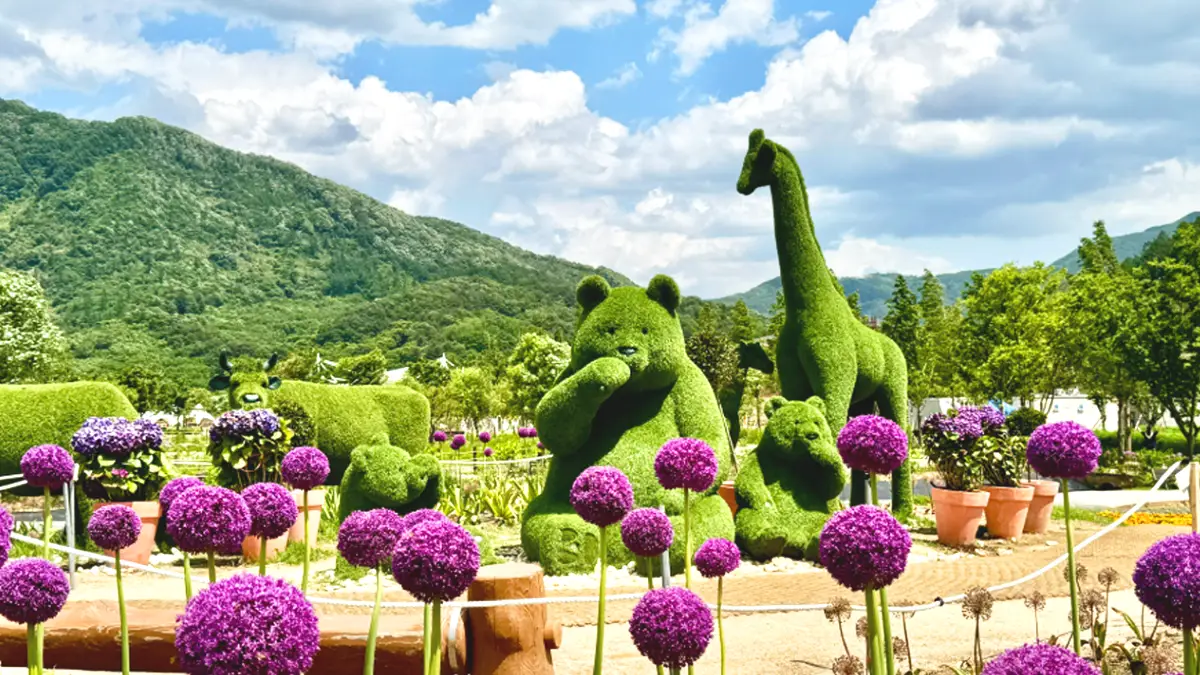 한탄강 가든페스타 한탄강 가든페스타