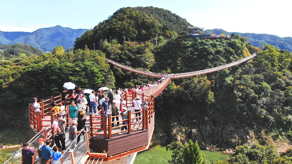 한탄강 Y자 출렁다리 한탄강 Y자 출렁다리