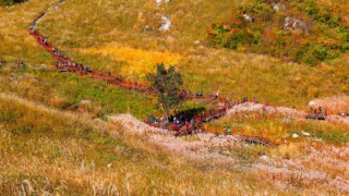 포천 명성산 억새 전경