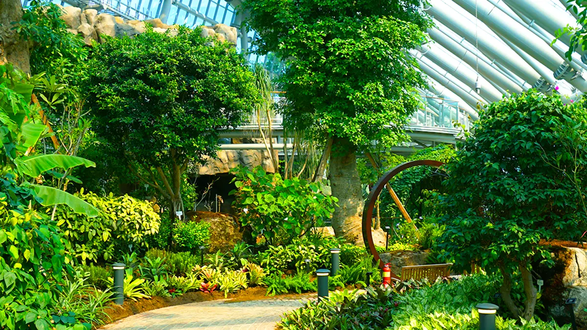 포항 환호공원 식물원