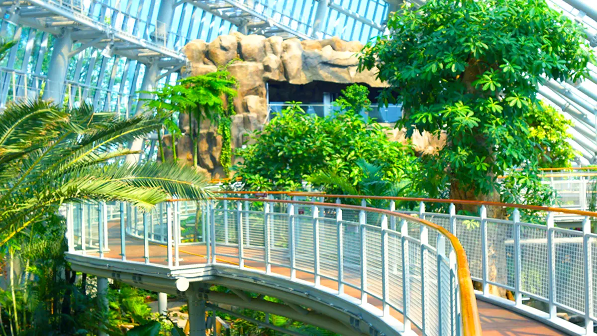 포항 환호공원 식물원 내부