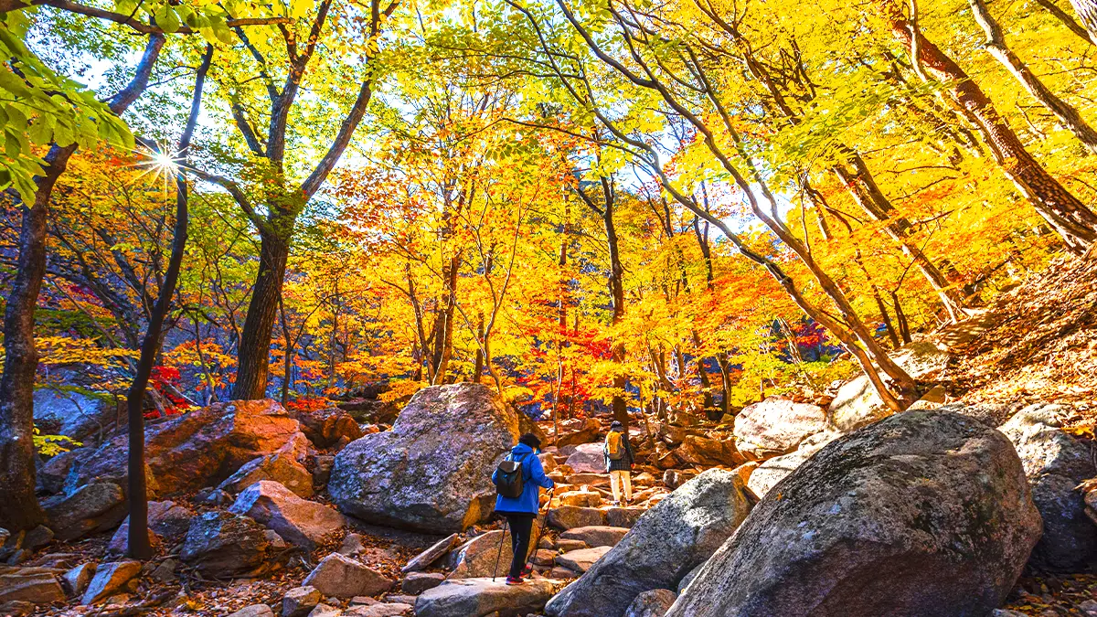 설악산 가을 트레킹