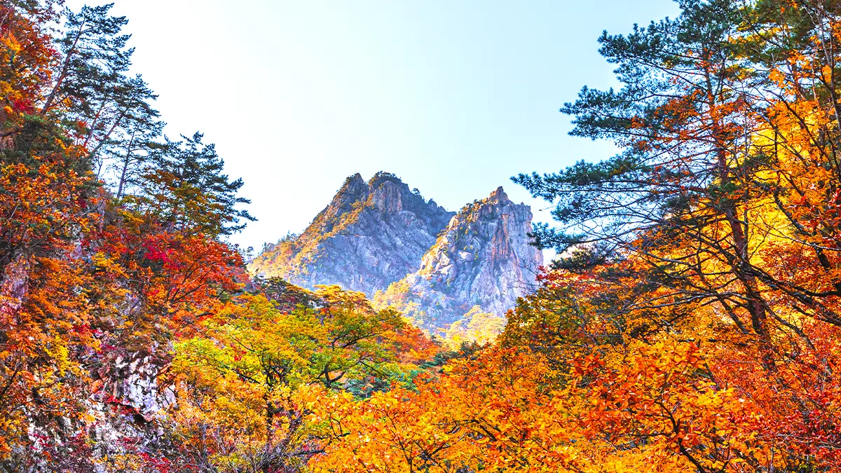 설악산 단풍 풍경