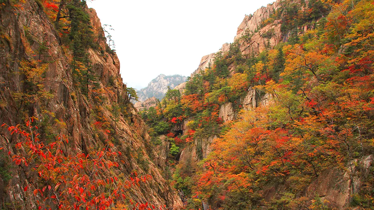 설악산 비선대 단풍
