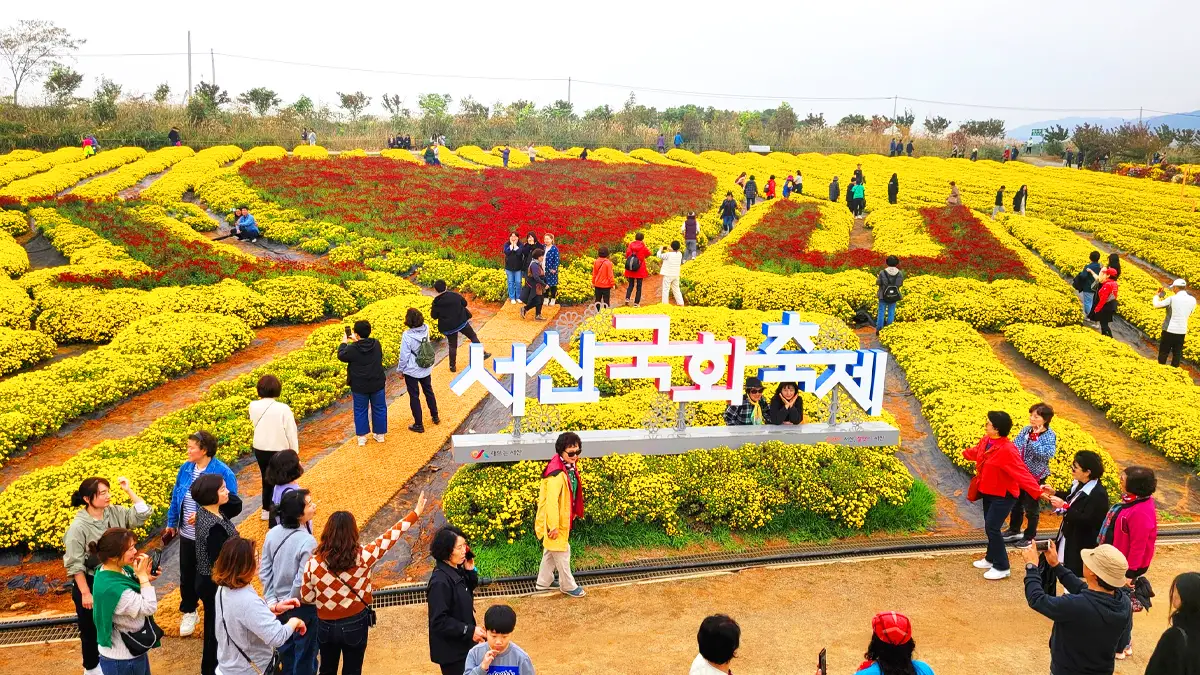 서산국화축제 모습 서산국화축제 모습