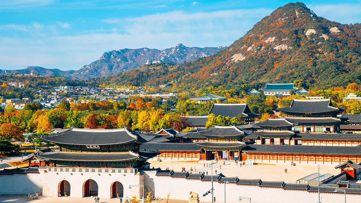 경복궁 가을 풍경 경복궁 가을 풍경