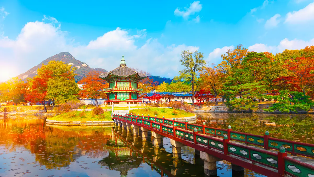 향원정 풍경 향원정 풍경