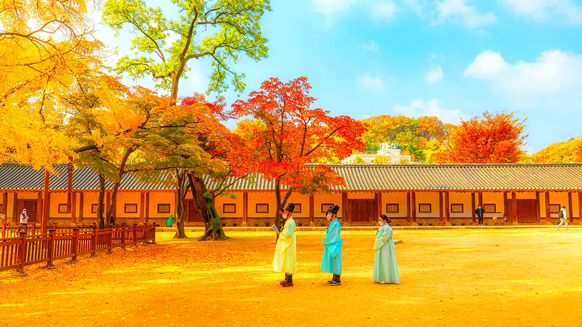 성균관 명륜당 가을 성균관 명륜당 가을