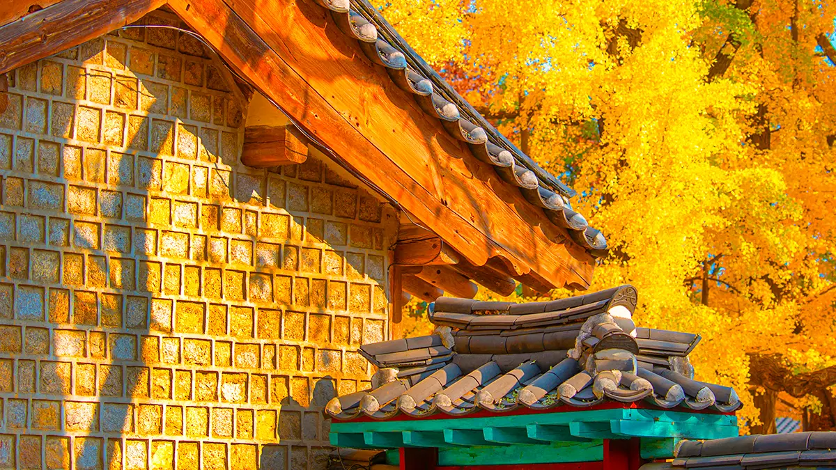 성균관 명륜당 가을 전경 성균관 명륜당 가을 전경