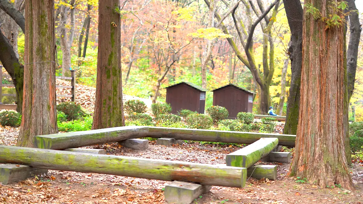 서울대 안양수목원 숲 서울대 안양수목원 숲