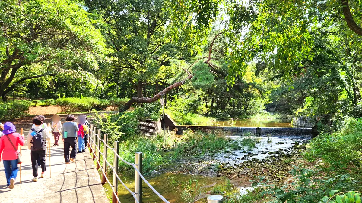 산림치유 체험 산림치유 체험