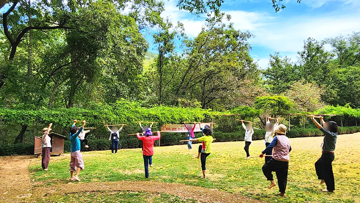 산림치유 체험프로그램 산림치유 체험프로그램