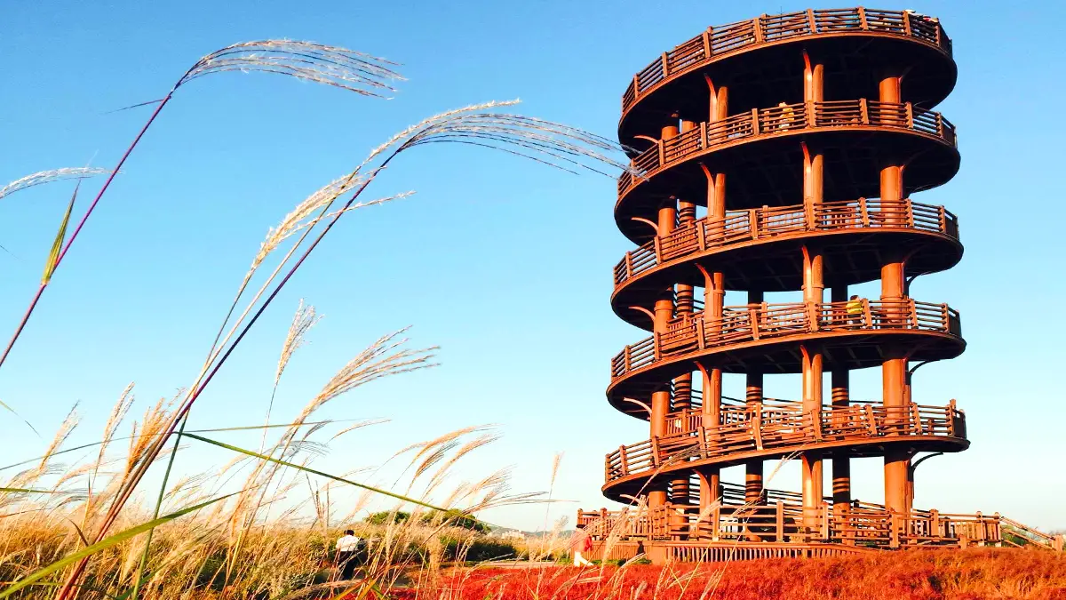 흔들전망대와 억새