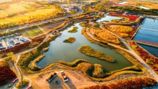 시흥 갯골생태공원 전경