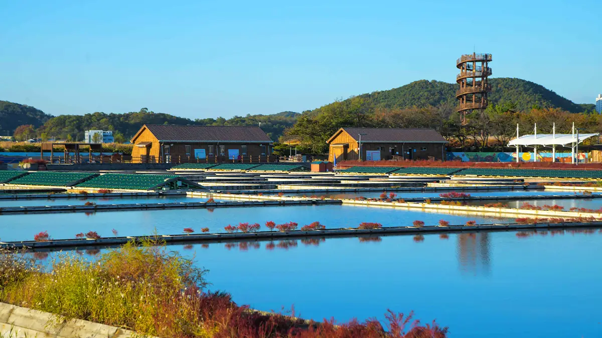 갯골생태공원 염전