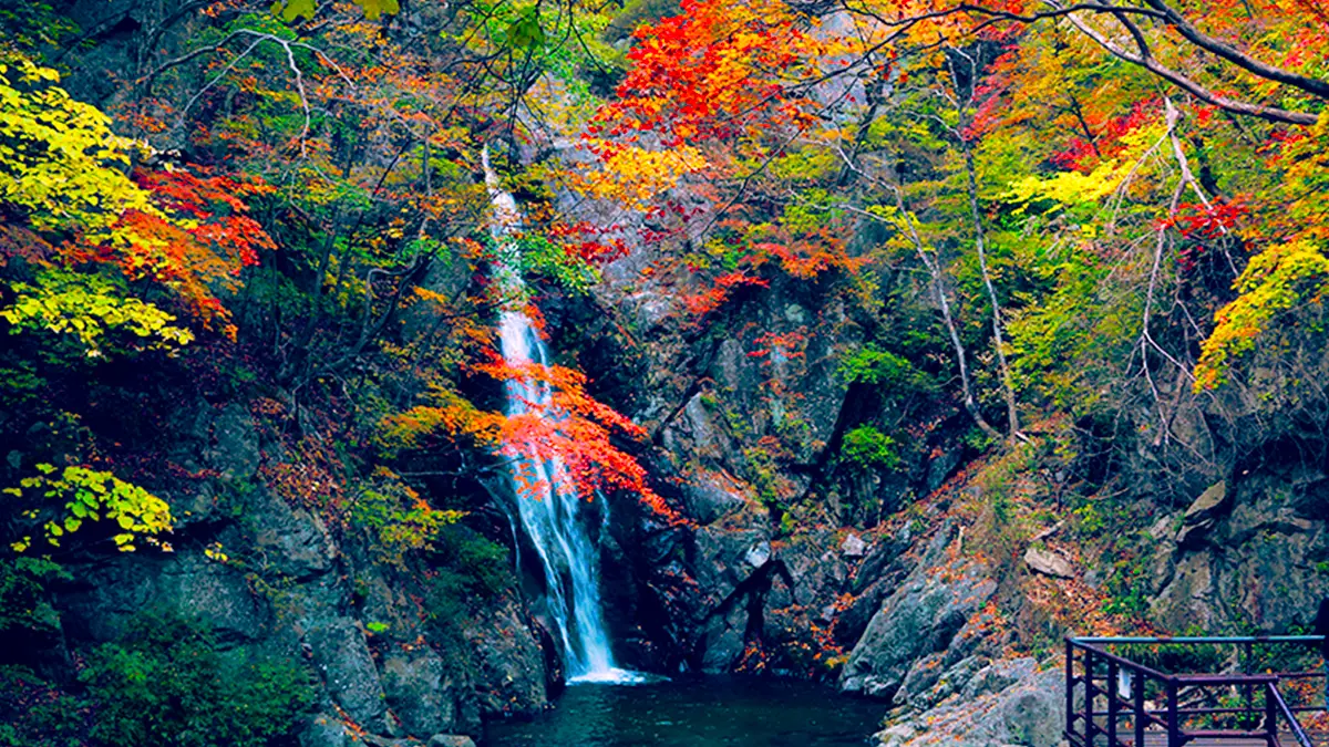 소백산 희방폭포 가을 전경