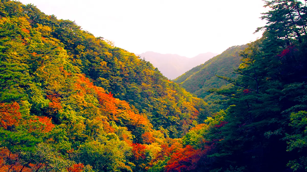 소백산 가을 전경 소백산 가을 전경