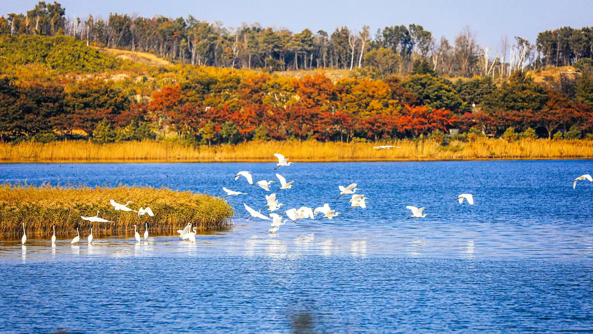 영랑호 가을 풍경 영랑호 가을 풍경
