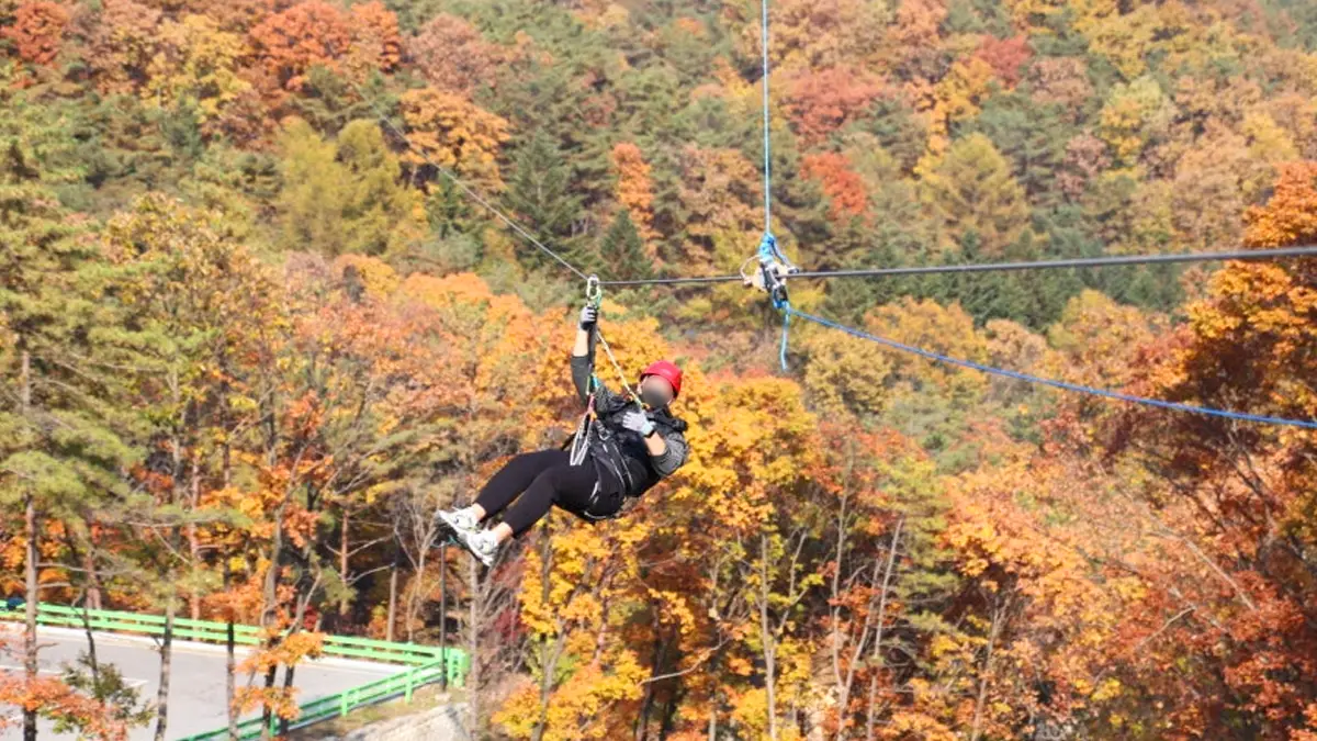 속리산레포츠시설 집라인 체험 속리산레포츠시설 집라인 체험