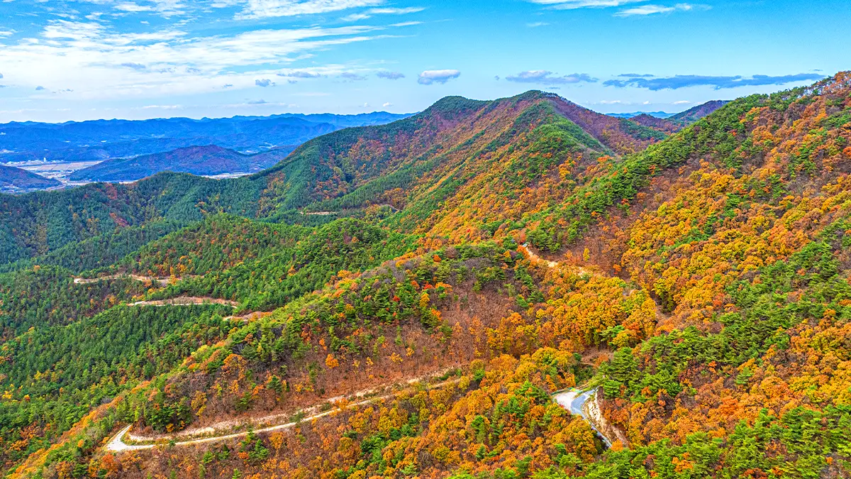 속리산 가을 풍경 속리산 가을 풍경