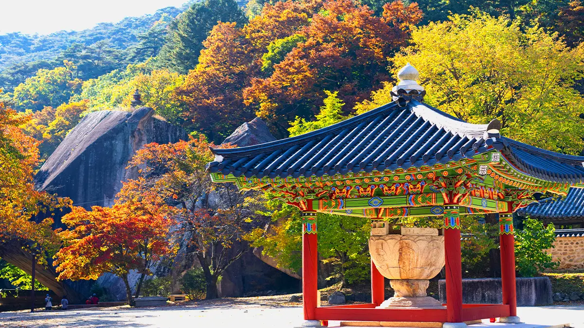 법주사 단풍 법주사 단풍