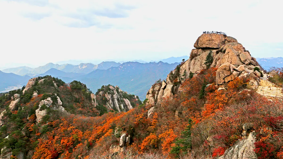 속리산 문장대 단풍