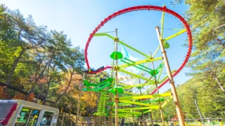 속리산레포츠시설 스카이트레일