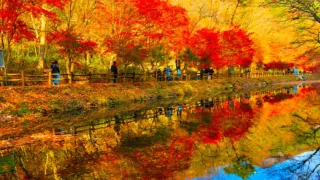 강천산 군립공원