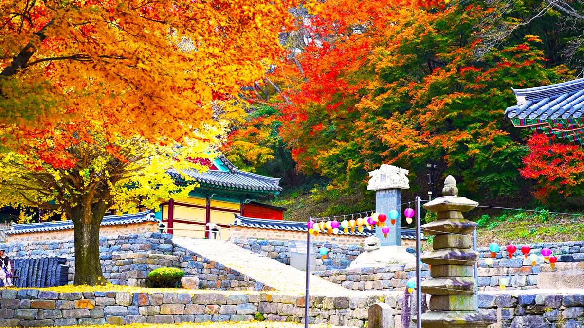 순창 강천산 강천사