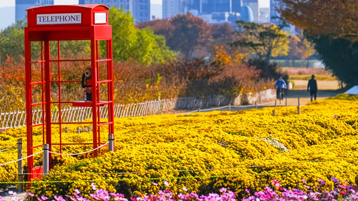 태화강 국가정원 포토존 태화강 국가정원 포토존