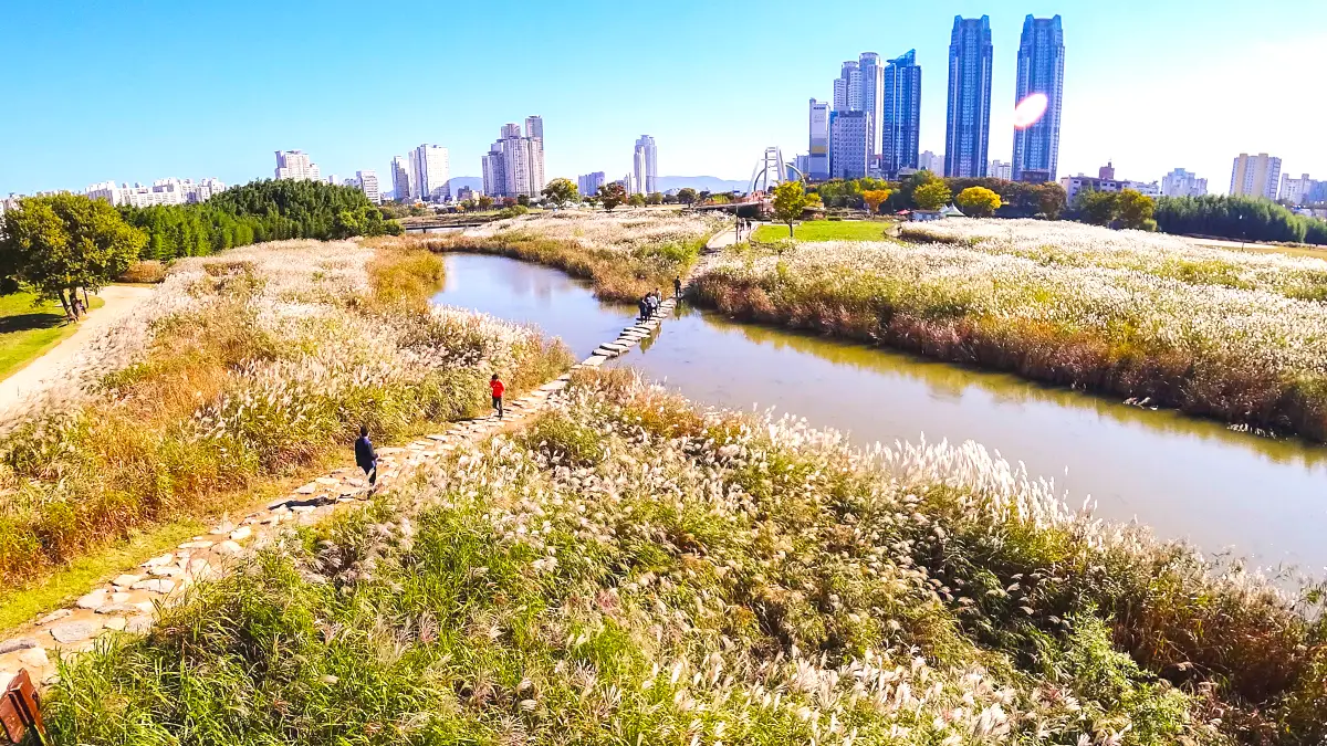 울산 태화강 국가정원 울산 태화강 국가정원