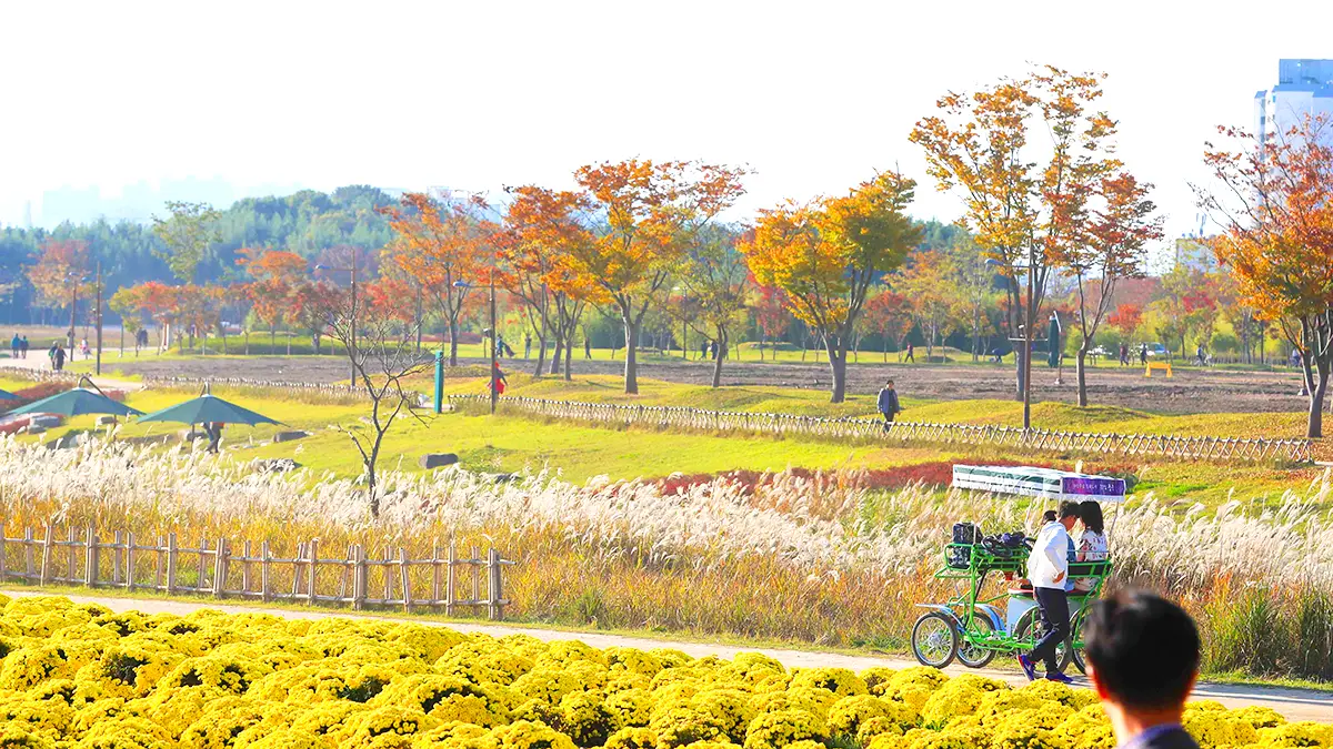 태화강 국가정원의 가을 태화강 국가정원의 가을