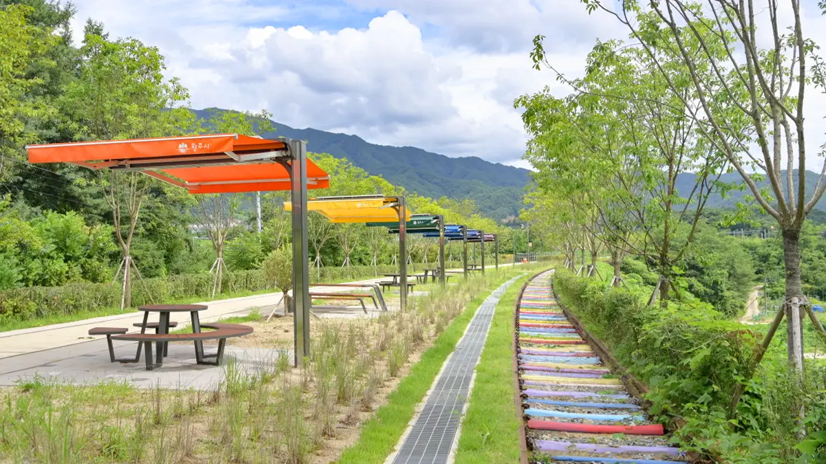 치악산 바람길숲 무지개 철길