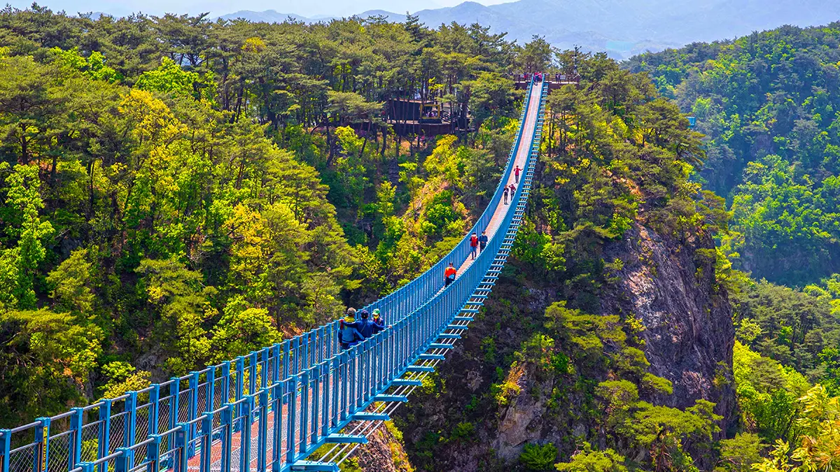 원주 소금산 그랜드밸리 출렁다리