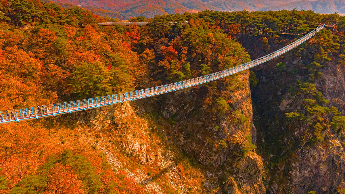 원주 소금산 그랜드밸리 출렁다리 가을