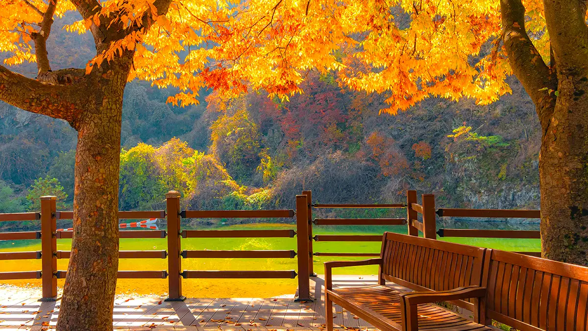 소금산 그랜드밸리 가을