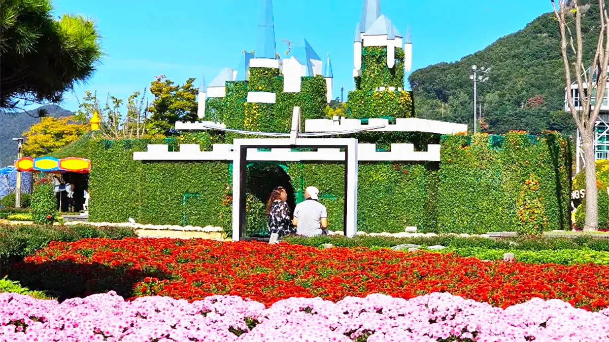 양산국화축제 모습