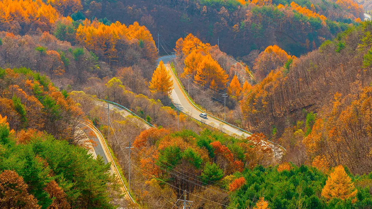 영동 도마령 드라이브