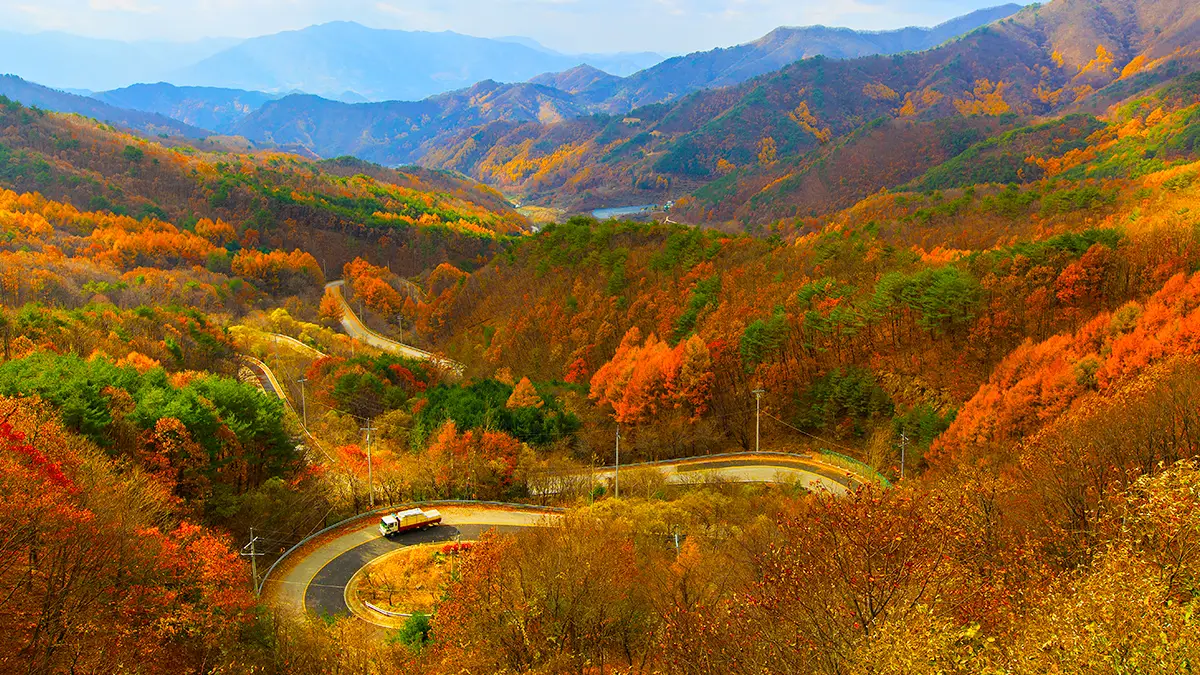 영동 도마령 가을