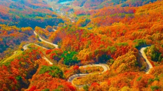 영동 도마령 가을 전경