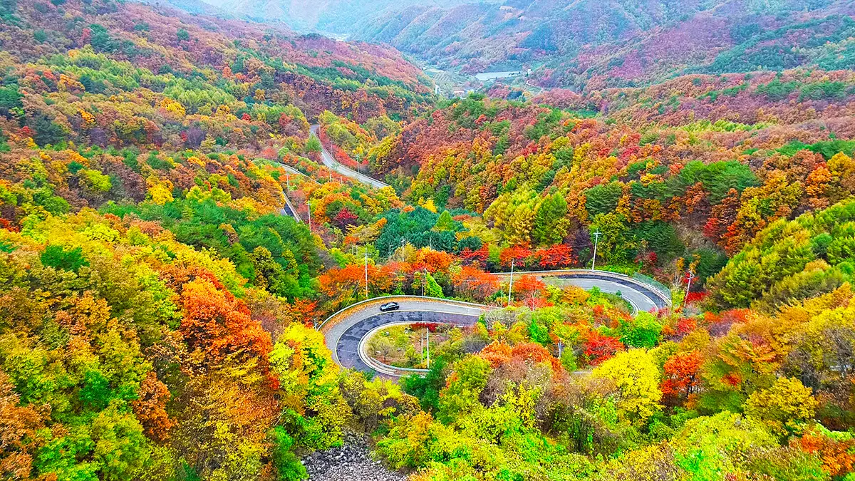 영동 도마령 가을 드라이브