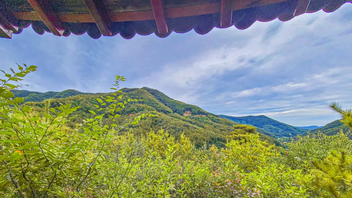 석포숲공원 팔각정 석포숲공원 팔각정