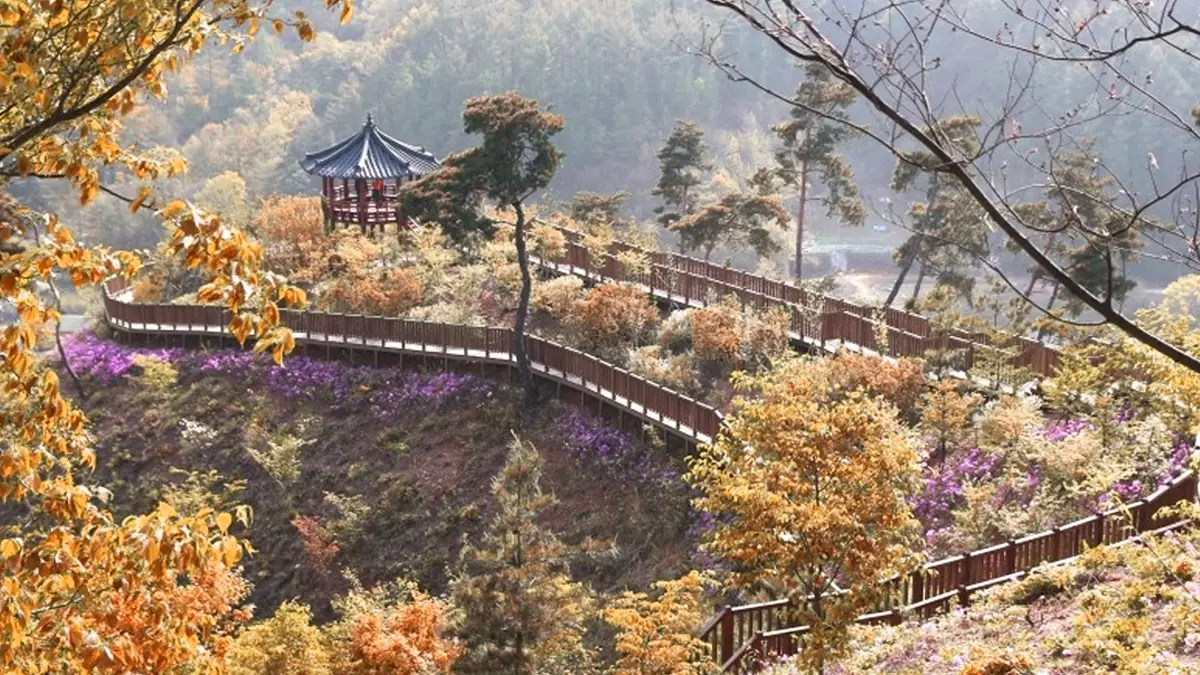 석포숲공원 한반도 테크로드