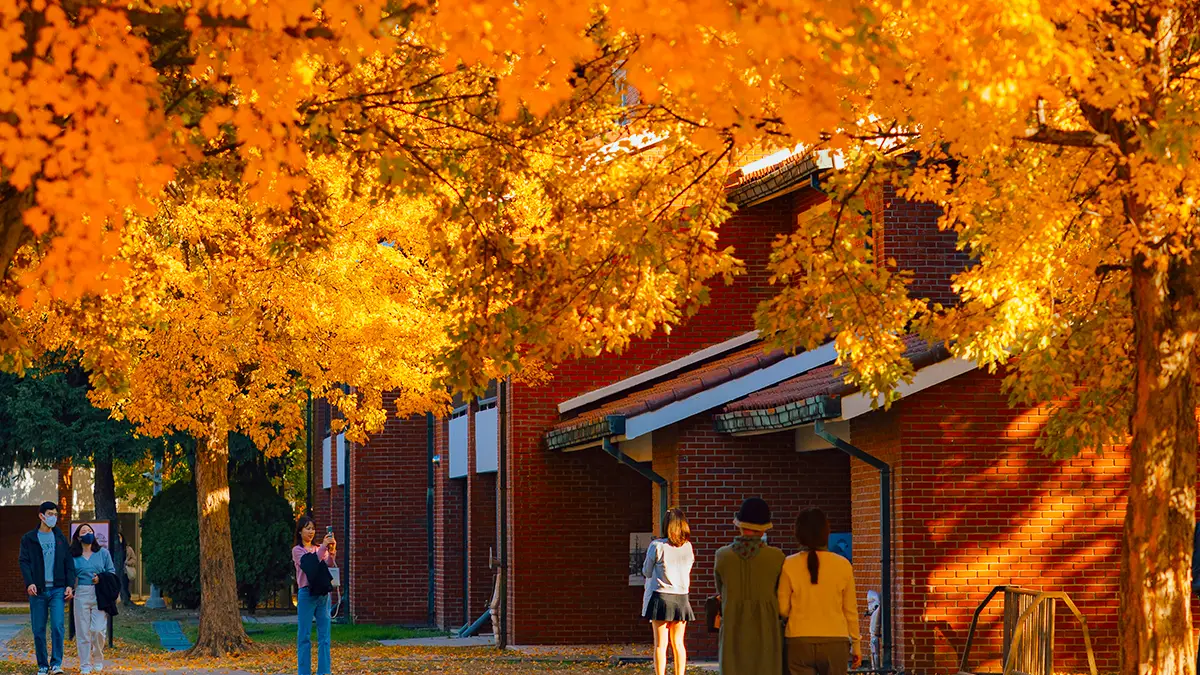용산공원 단풍 용산공원 단풍