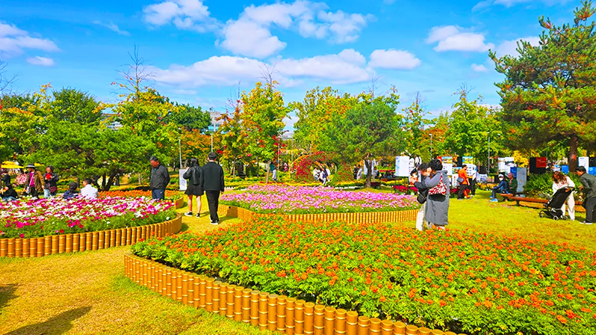 유성국화축제 전경
